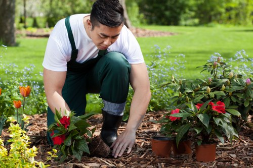 Eco-friendly tree removal practices