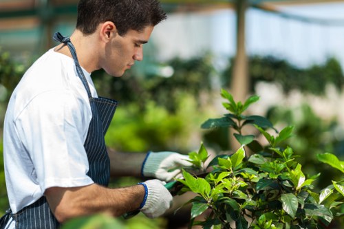 Experienced arborist assessing tree health