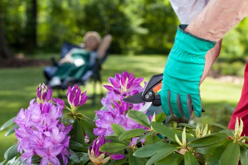 Invoice and receipt imagery for gardening service payments