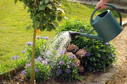 A gardener's hand is visible watering a flower bed in a neatly maintained garden, using a large dark green watering can. The flower bed features a variety of plants and shrubs with green foliage and purple blossoms, bordered by small wooden edging. Behind the flowers, a young tree with a slender trunk and green leaves stands, with a lush, well-kept lawn extending into the background. The scene is brightly lit by natural daylight, suggesting a clear, sunny day, and the overall setting appears to be part of a landscaped outdoor space in Parsons Green, suitable for professional gardening and lawn care services.